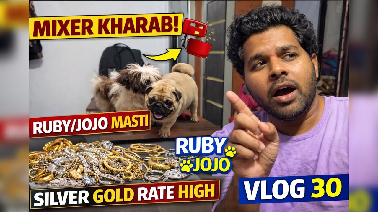 Mixer Kharab 😱 | Ruby & Jojo Ki Full Masti 🐶 | Gold Silver Rate High | Vlog 30 | Sahil Barve