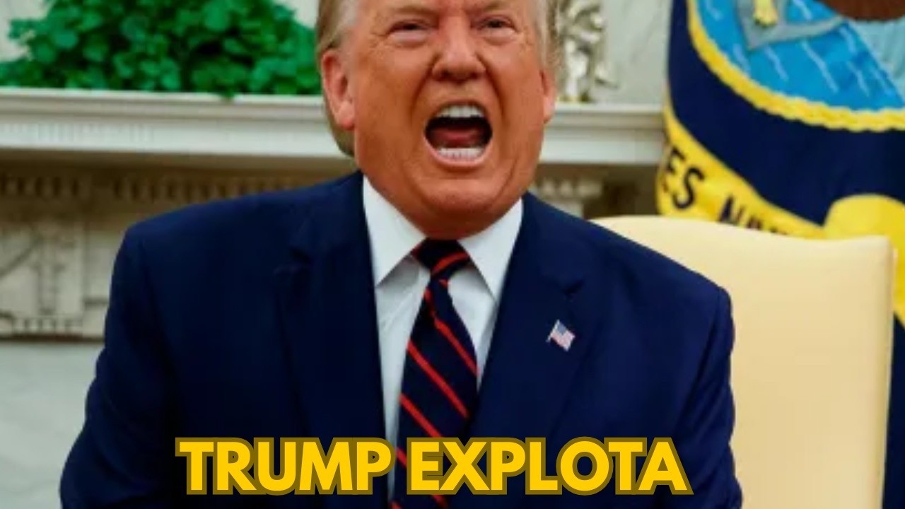 Donald Trump y su mundo de ilusiones: llama cobarde a la OTAN y afima que  Iran esta devastado