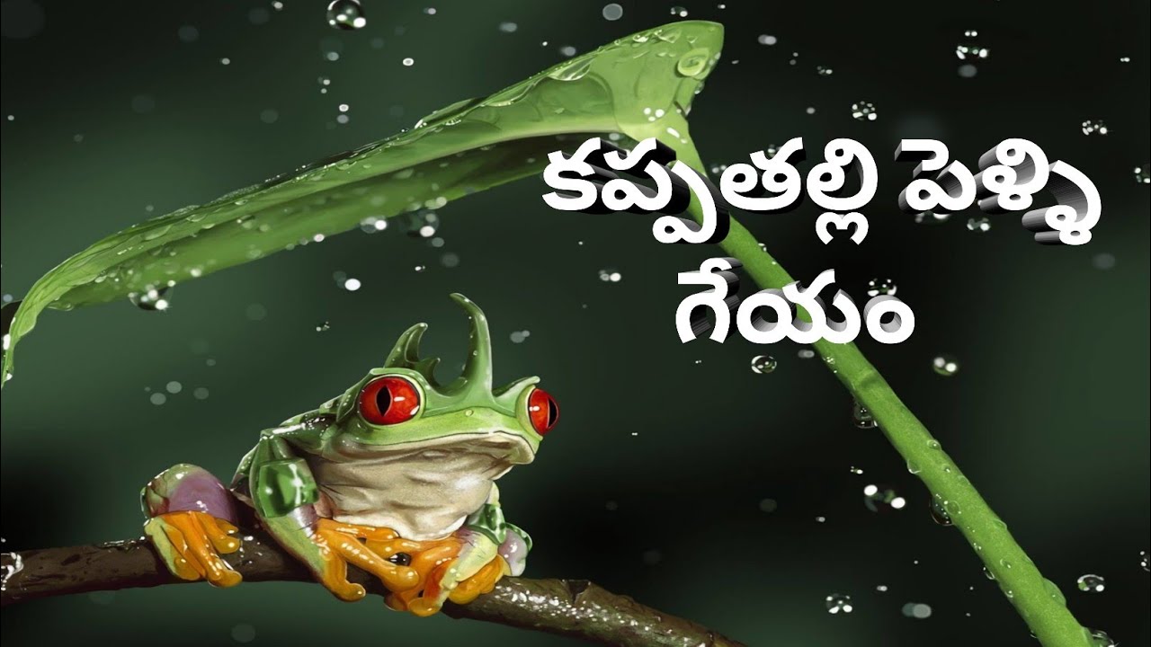 kappathalli pelli(కప్పతల్లి పెళ్ళి-గేయం)