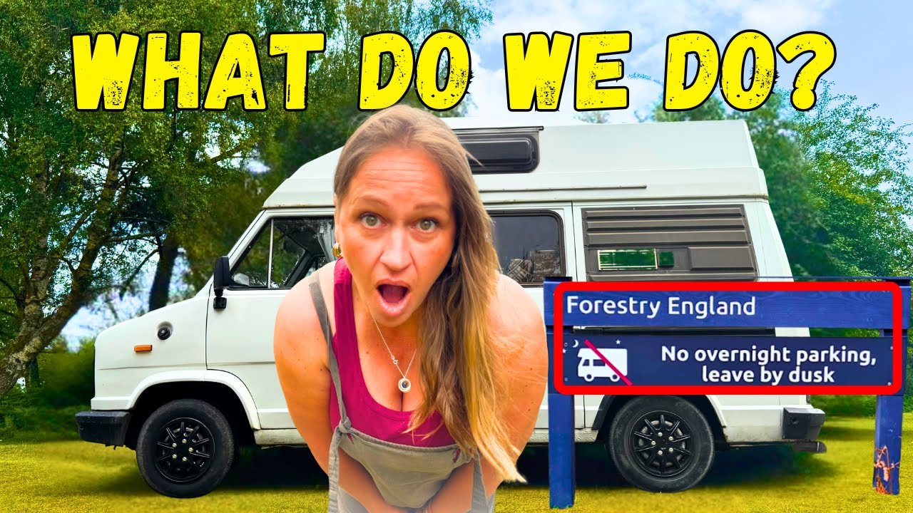 BANNED Wild Camping in New Forest (VANLIFE in The UK)