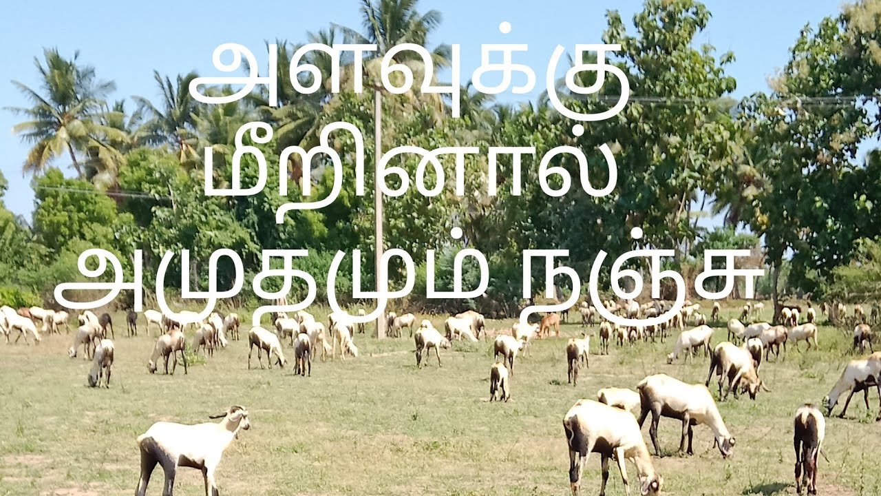 அளவுக்கு மீறினால் அமுதமும் நஞ்சு