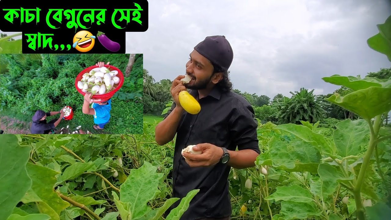 কাচা বেগুনের সেই স্বাদ,,,🤣🍆