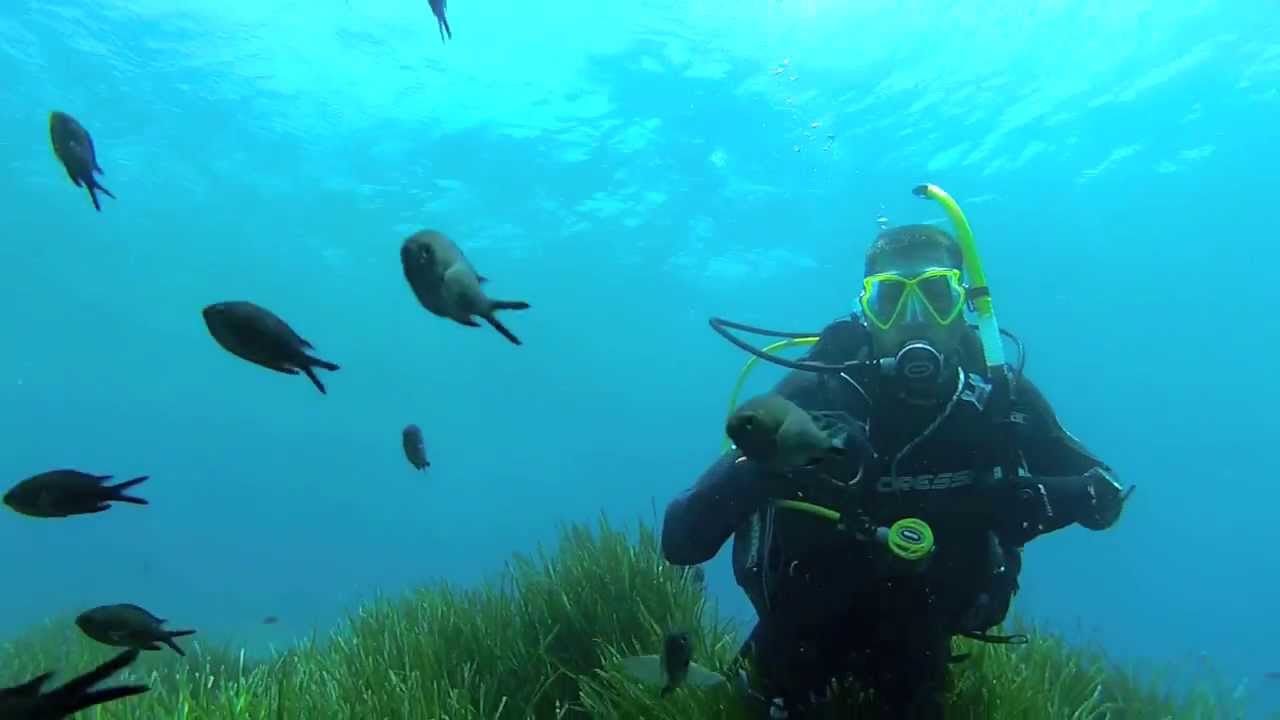 Buceo 2013 03 JULIO CB LA ISLETA