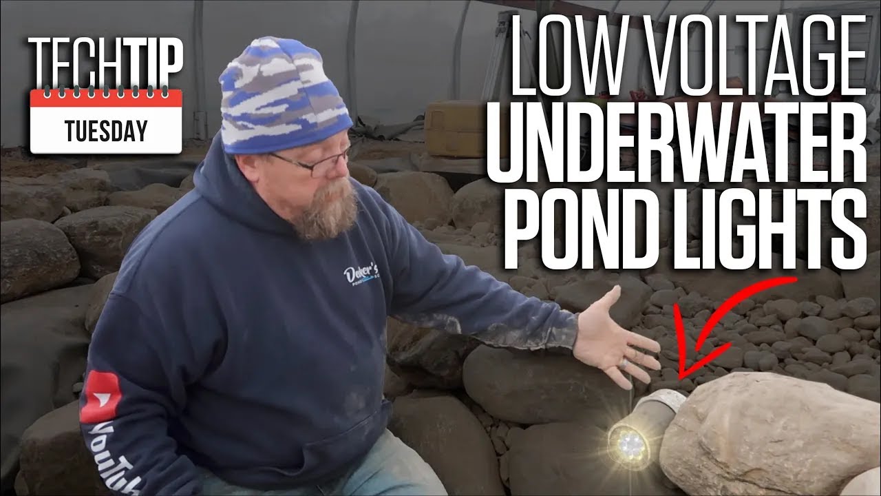 DIY Pond Lighting: Illuminate Your Night with Just 1 Watt!