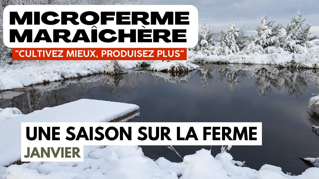 Une saison sur une microferme maraîchère : Janvier