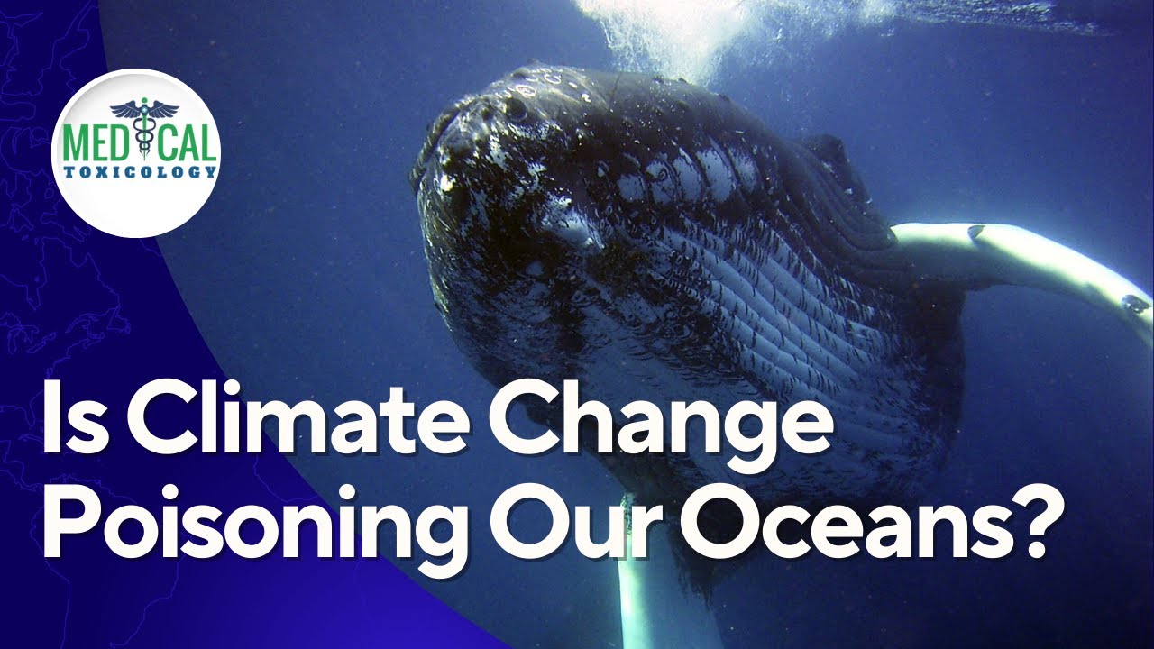 Climate Change & Marine Biotoxins: A Rising Threat