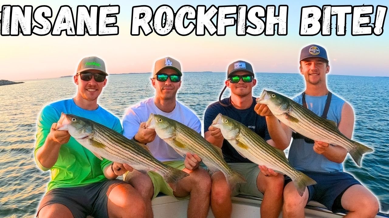 Crazy TOPWATER ROCKFISH Bite On The CHESAPEAKE BAY! Chesapeake Bay Fishing! (BEST BITE OF THE YEAR!)
