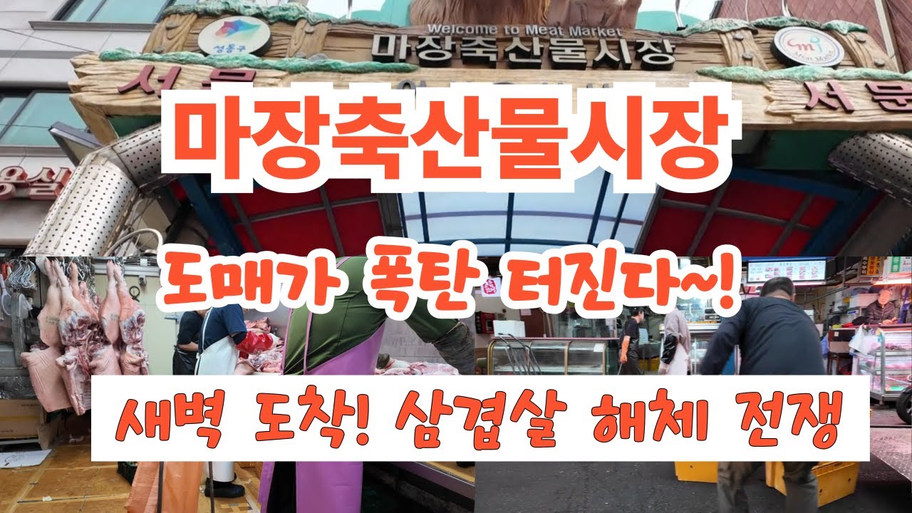 돼지고기 폭탄 터진다/ 돼지고기 그날 그날 시세가 달라진다 / 마장축산물시장 ~^ 힐링여행