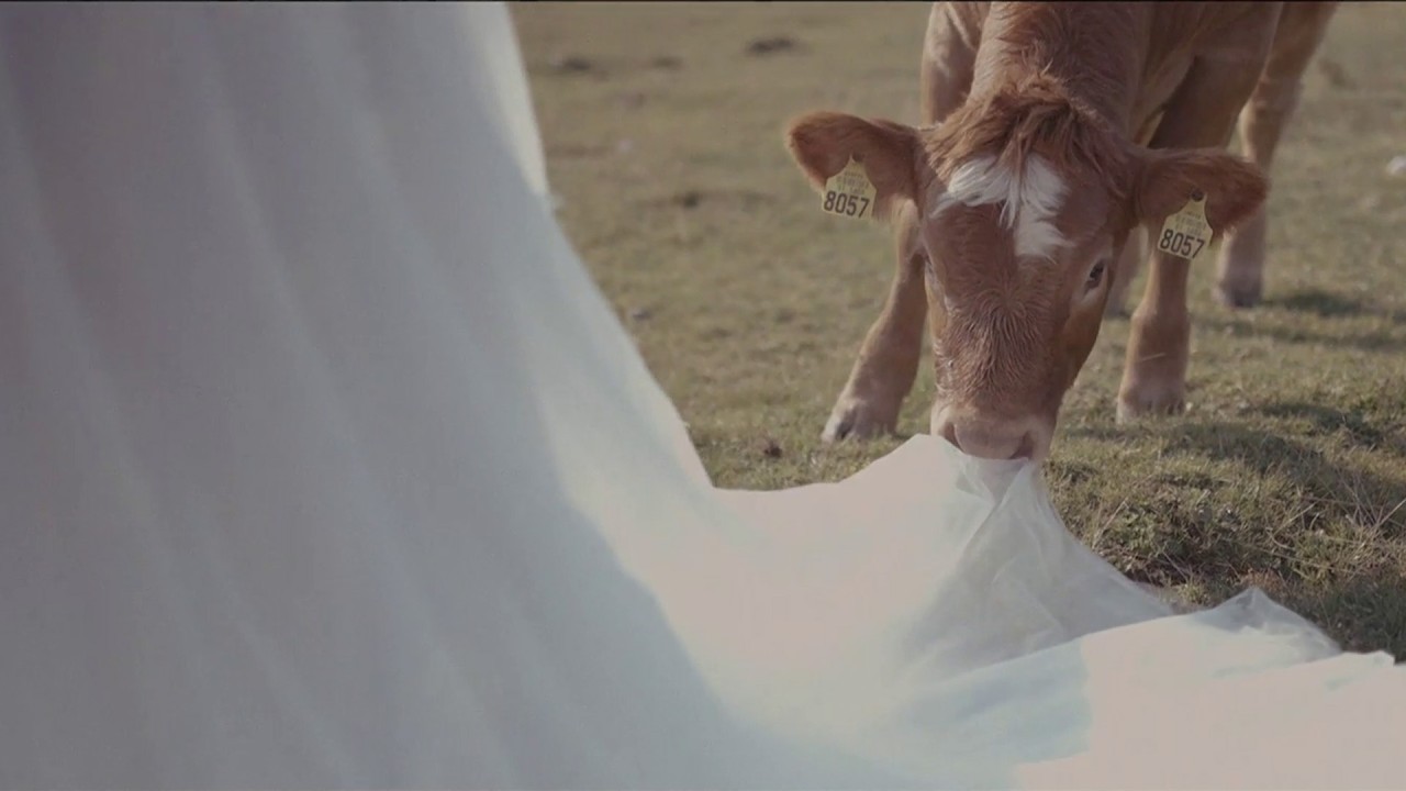 Lonja & Rok | Cinematic Mountain Wedding at Krvavec