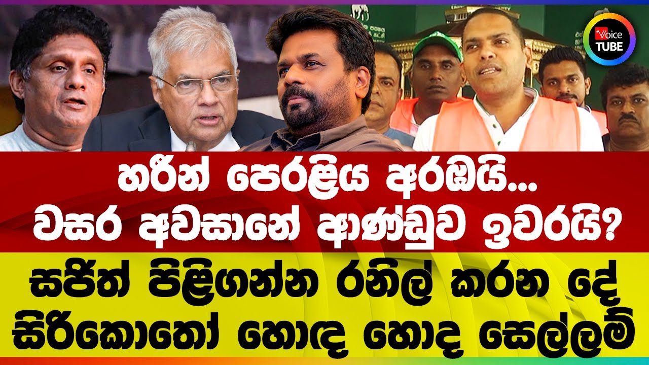 හරීන් පෙරළිය අරඹයි... වසර අවසානේ ආණ්ඩුව ඉවරයි? සජිත් පිළිගන්න රනිල් කරන දේ සිරිකොතෝ හොඳ හොද සෙල්ලම්