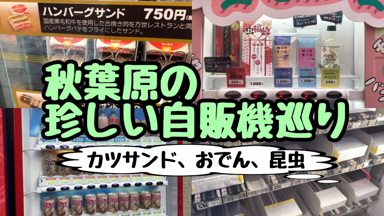 【秋葉原】珍しい自販機巡り【カツサンド、おでん、昆虫、フィギュア】