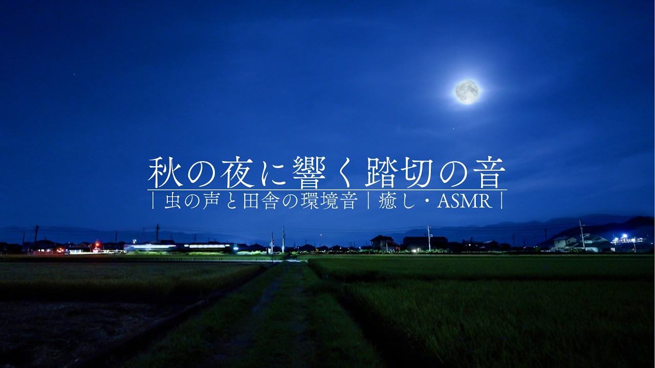 【安眠用BGM】秋の夜に響く電車と踏切の音｜虫の声と田舎の環境音｜癒し・ASMR