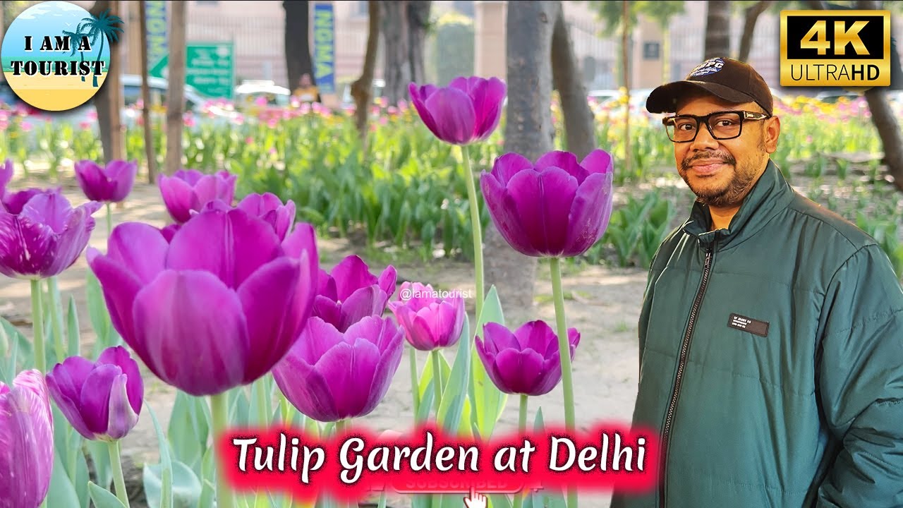 Experience the Vibrant Delhi Tulip Festival 2025: A Floral Extravaganza at Shanti Path #viralvideo
