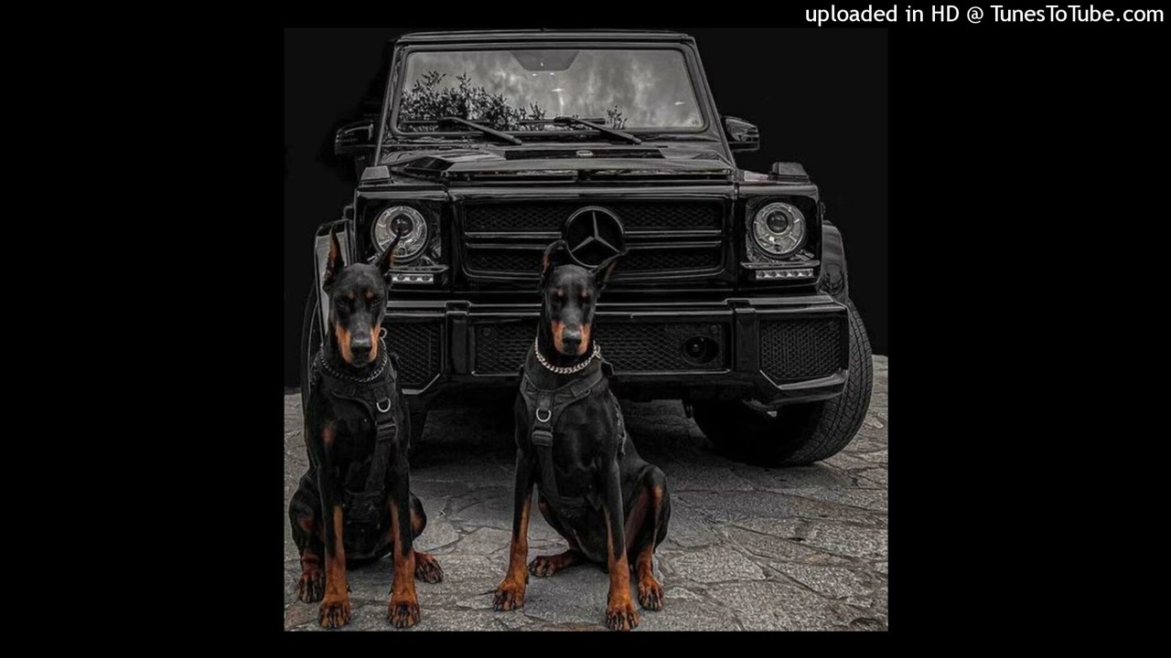 [FREE] La Fève x Alpha Wann Type Beat 2023 - ''Doberman'' (Prod. Welcome to Belize)