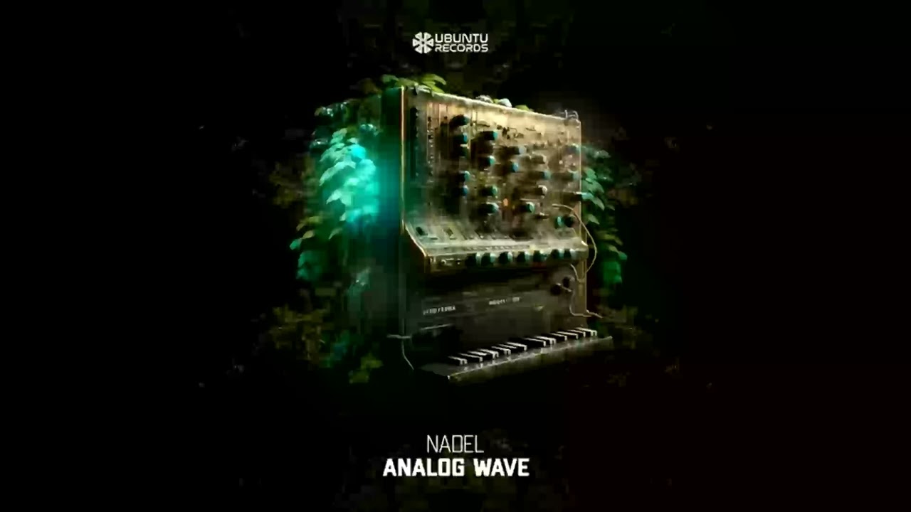 Noam Nadel - Analog Waves