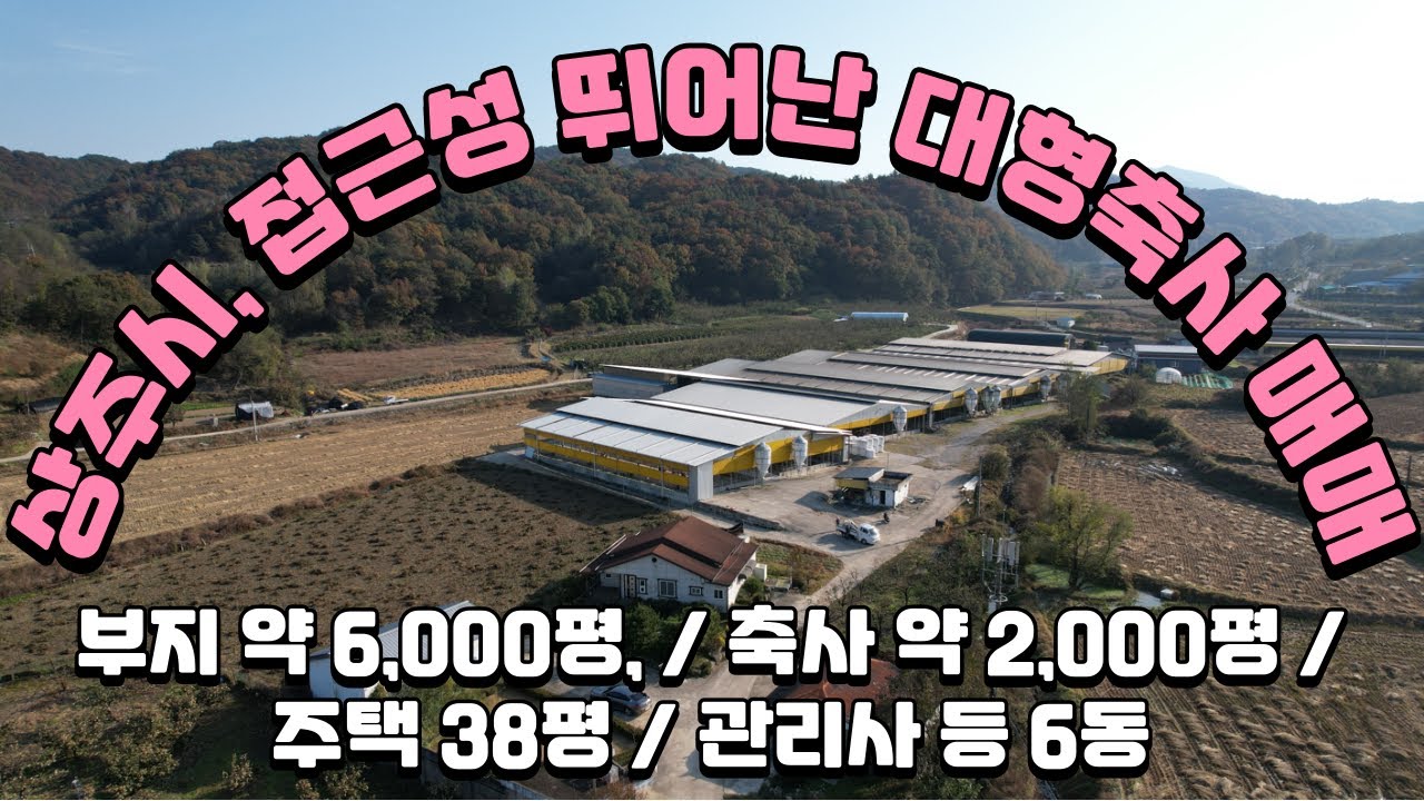 [매물25-4] 상주시 공성면 접근성 뛰어난 대형축사 매매 #상주시 #축사 #우사 #상주부동산 #김천부동산 #구미부동산