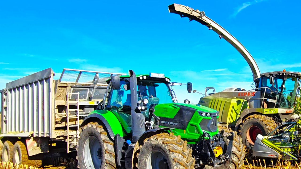 Deutz TTV Trio impulsiv mit Jaguar 970 Dynamic Power & Fendt 311 Vario bei Maissilage 2024