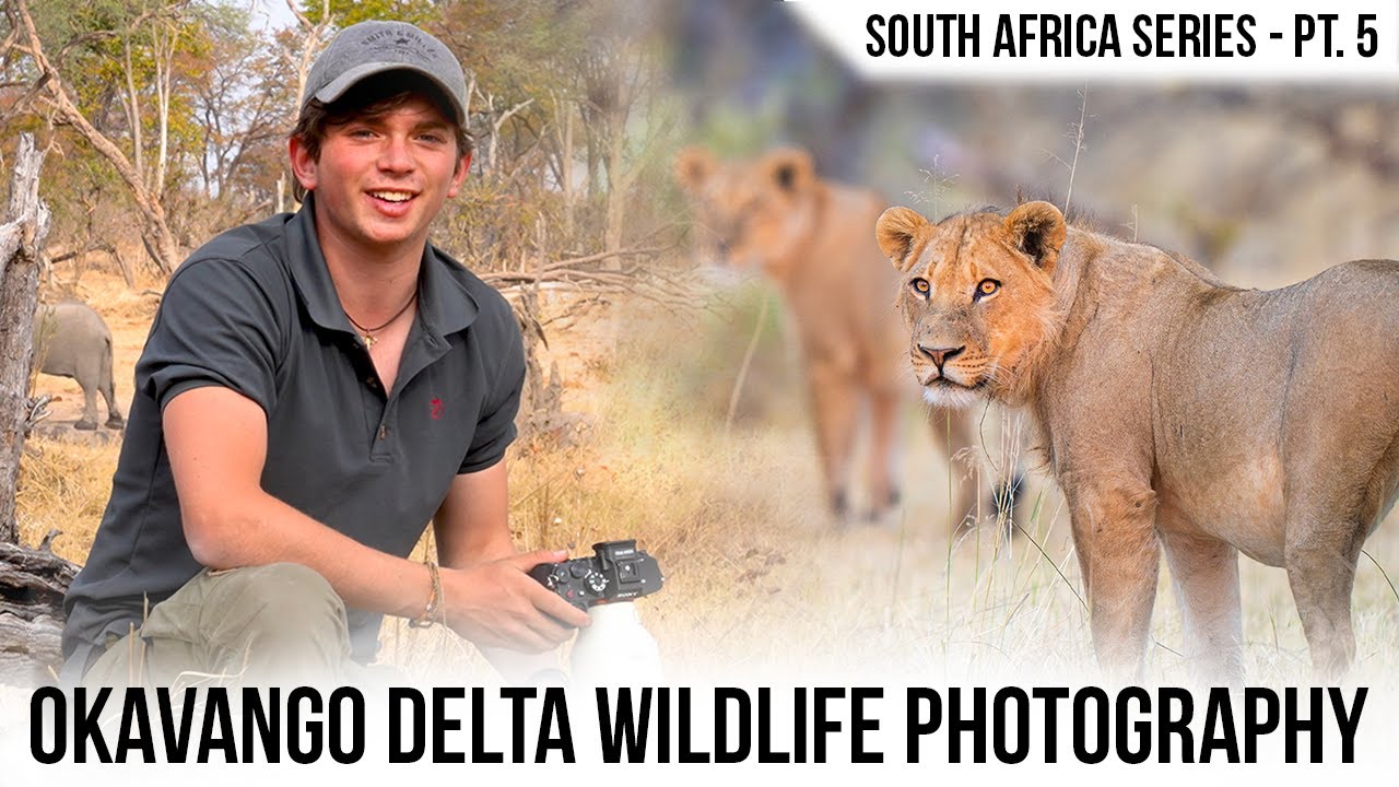 From Kgalagadi to the Okavango Delta - Wildlife Photography Adventure