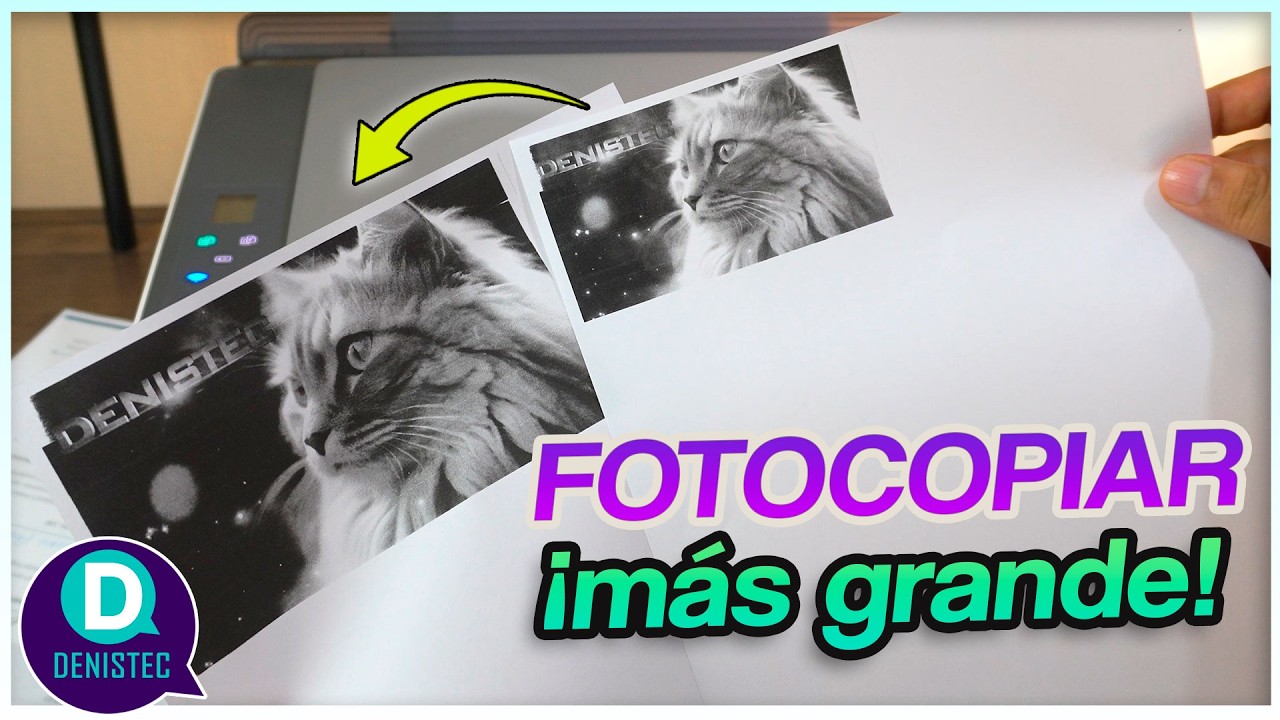 Cómo fotocopiar y escalar documentos y fotos con una impresora HP ✅