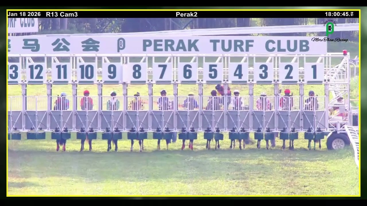 18TH JANUARY 2026 RACE 13