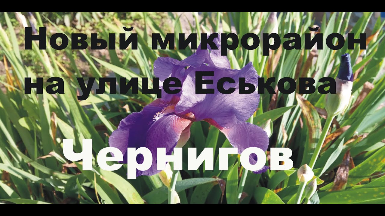 Чернигов,Микрорайон на улице Еськова  Первое впечатление