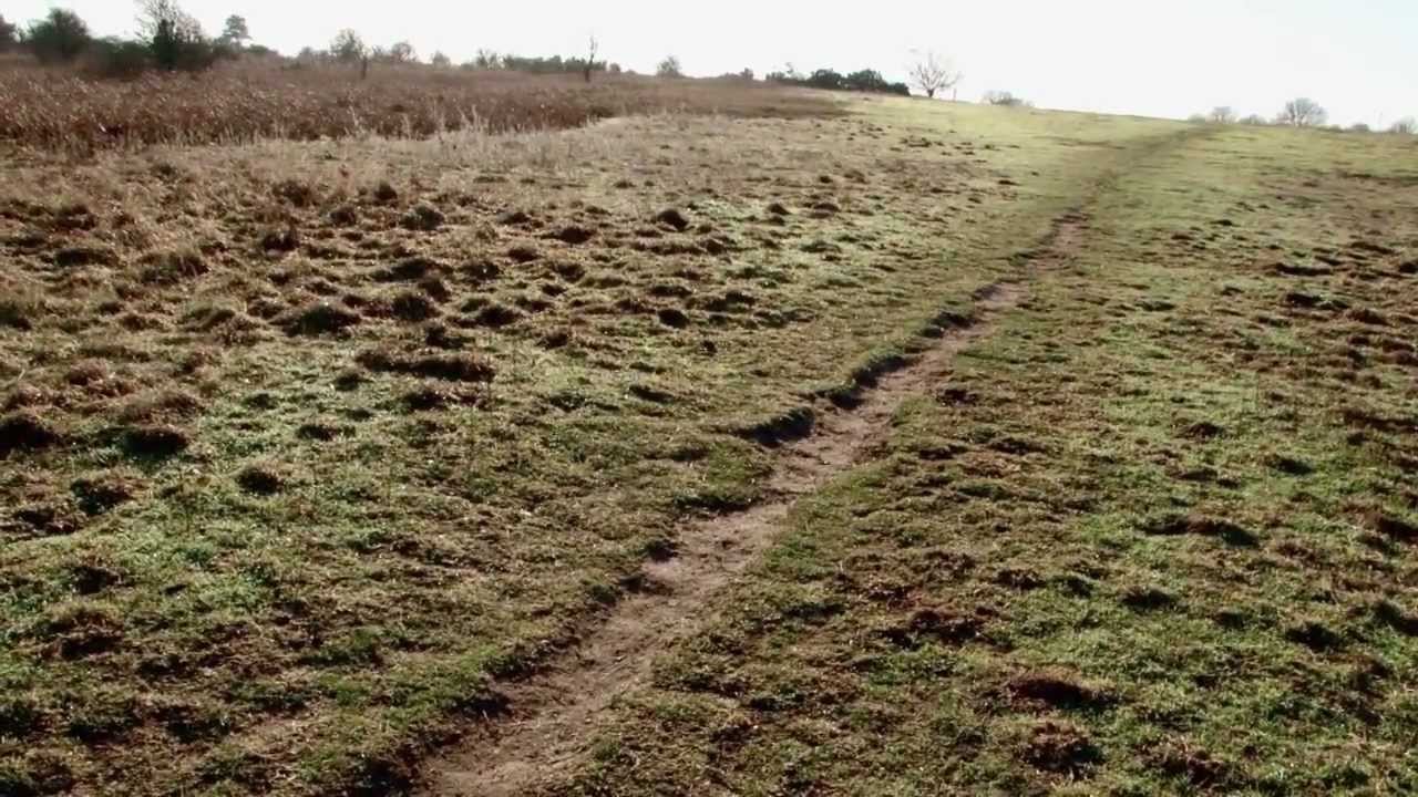 Maidscross hill, Lakenheath.