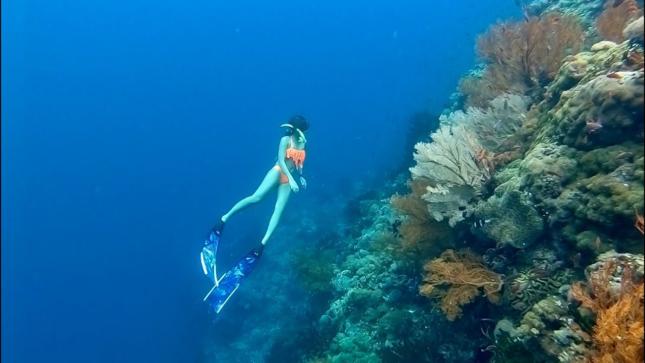 Freediving at Danke Laia (Pagkilatan, Batangas)