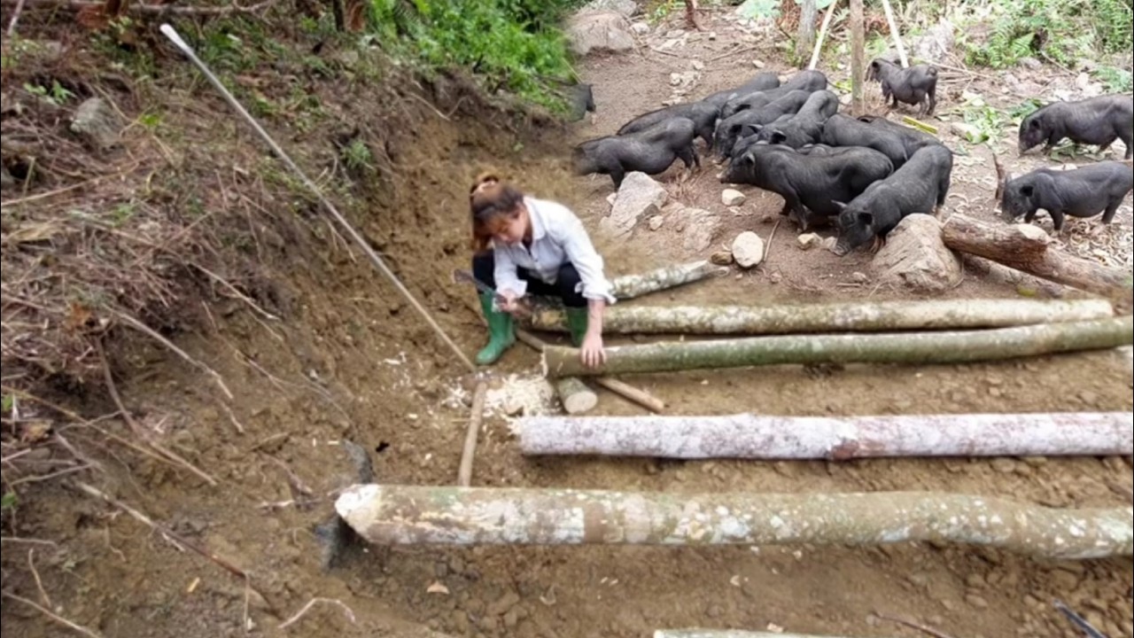 The girl survived in the forest by building a small wooden house and raising pigs.