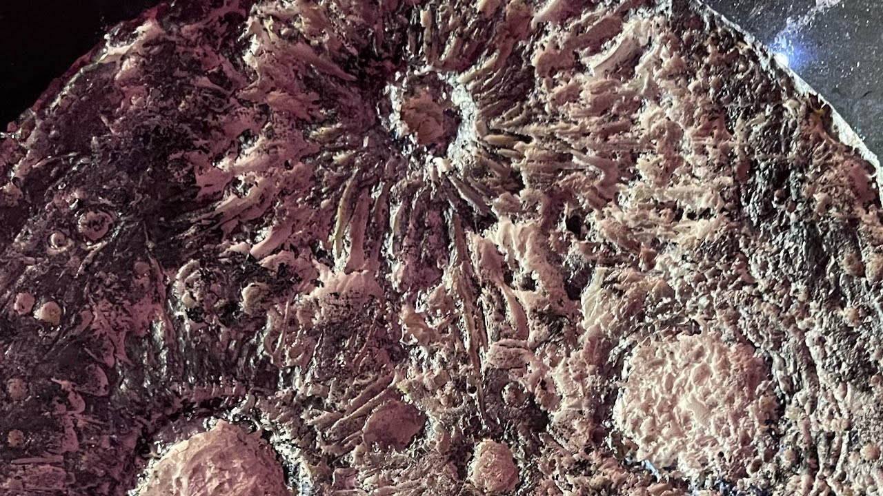 Textured MOON Art! Illuminating Home Decor! ​⁠