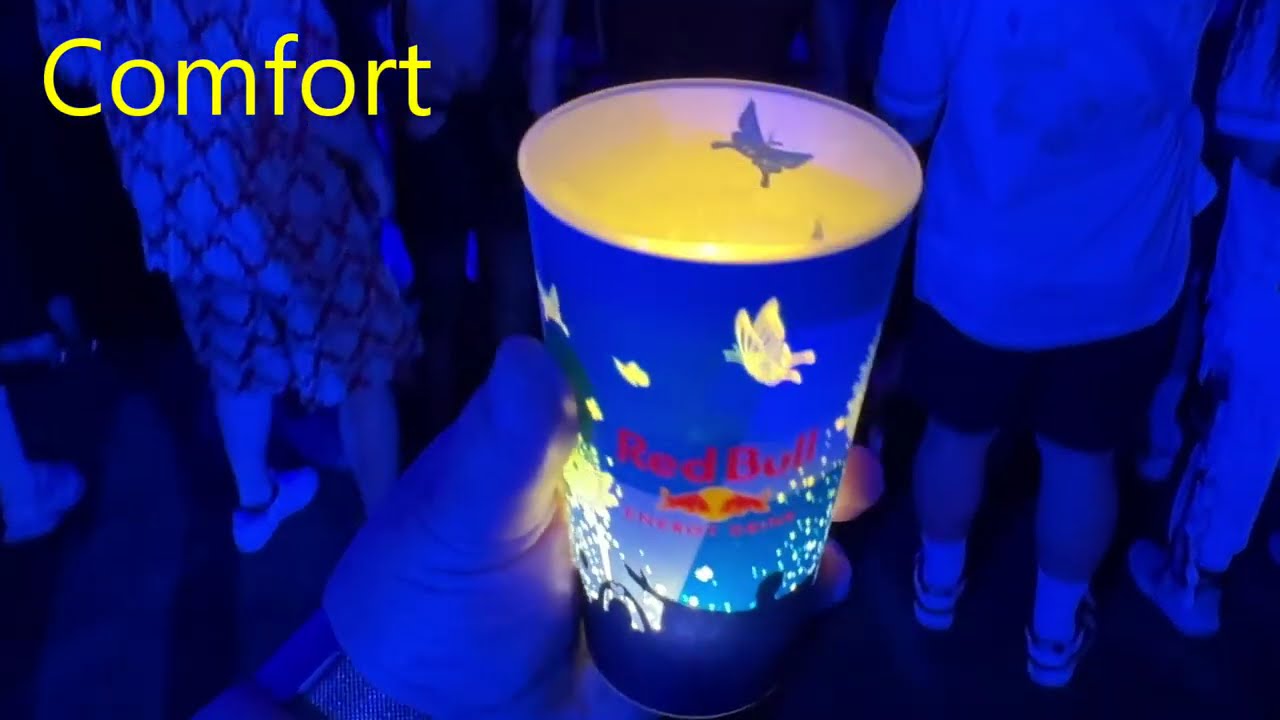 Tommorrowland Standard Vs Comfort