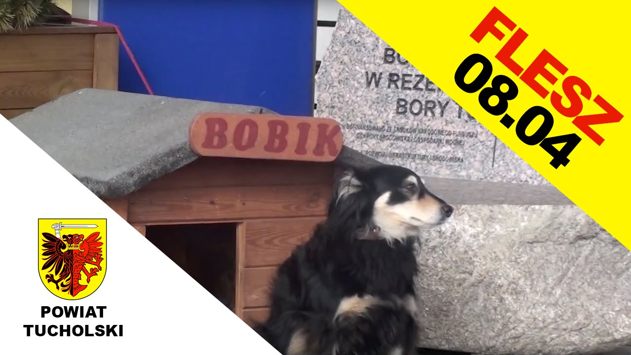 Powiatowy Flesz 08-04-2016 | Tuchola