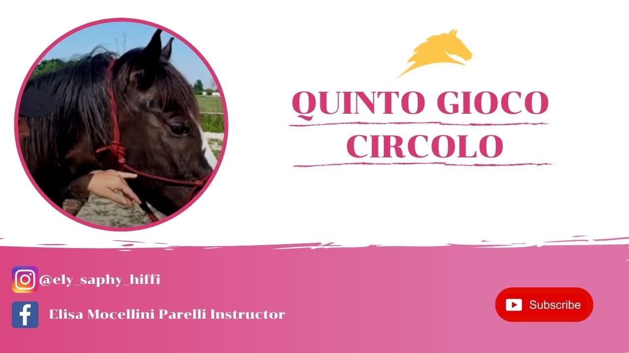 5° GIOCO | IL CIRCOLO | ELISA MOCELLINI