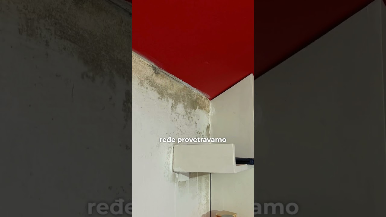 Kako se re&scaron;iti vlage i buđi?