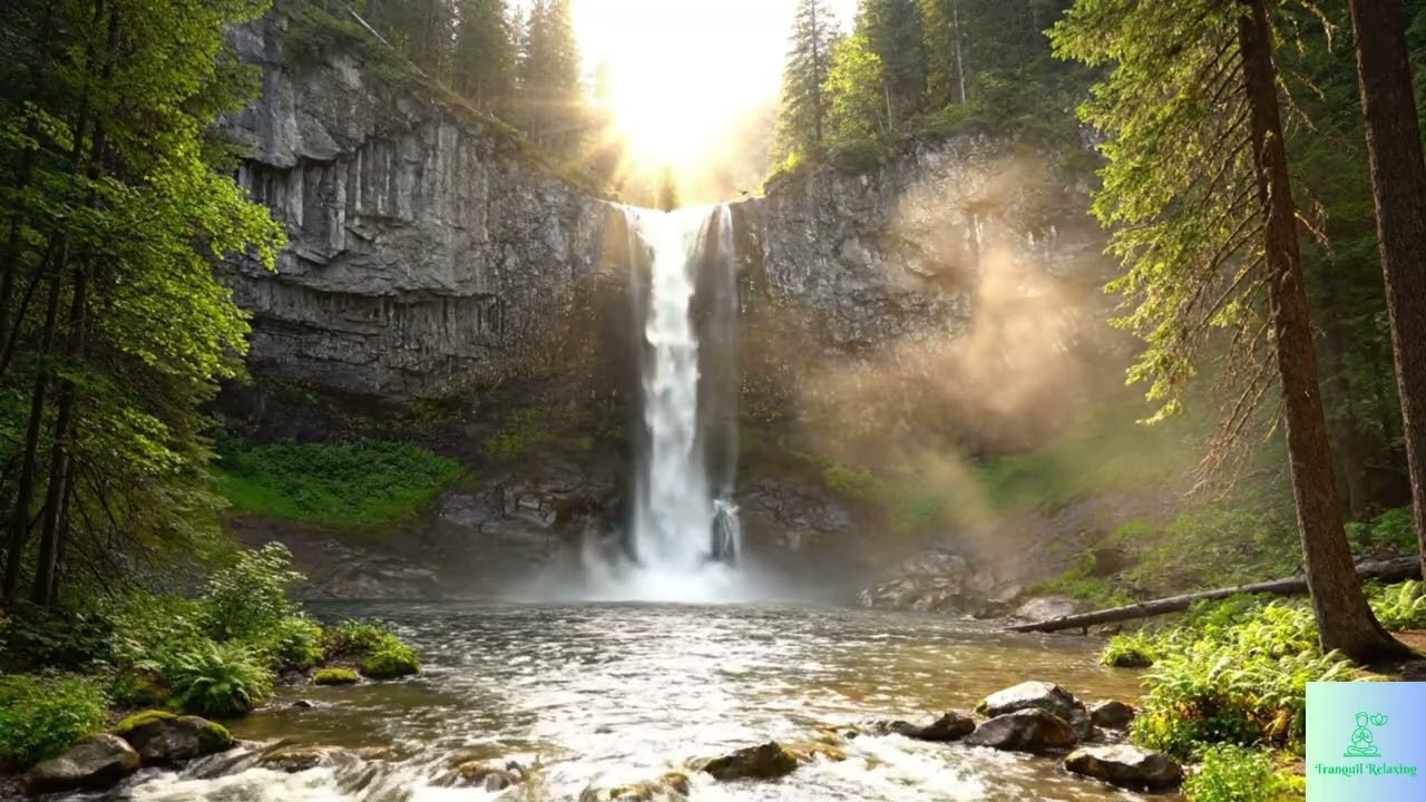 Tranquil Relaxing : Meditation with High Waterfall in the Forest | Deep Calm & Mindfulness