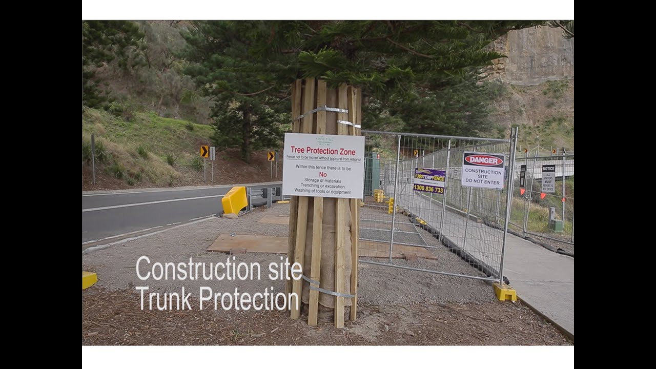 MooreTrees, Trunk Protection, Film #1