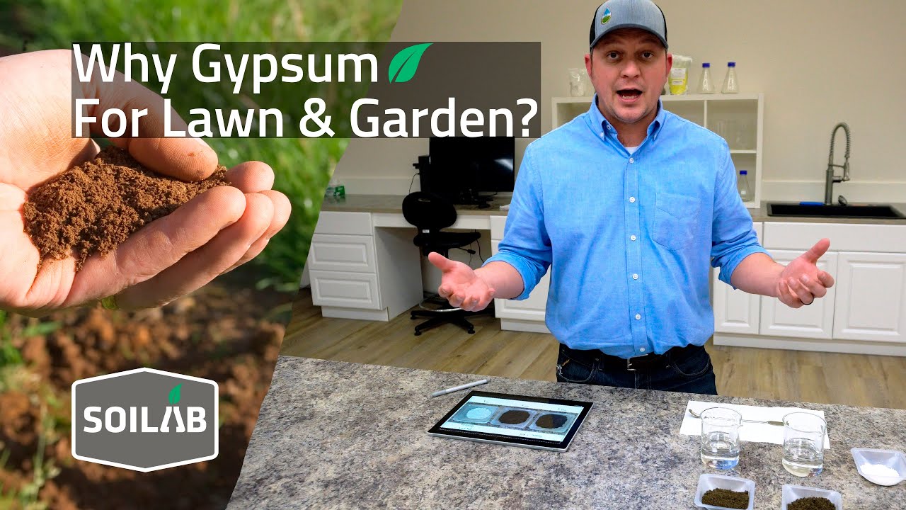 What is Gypsum and How Does It Help My Lawn and Garden?
