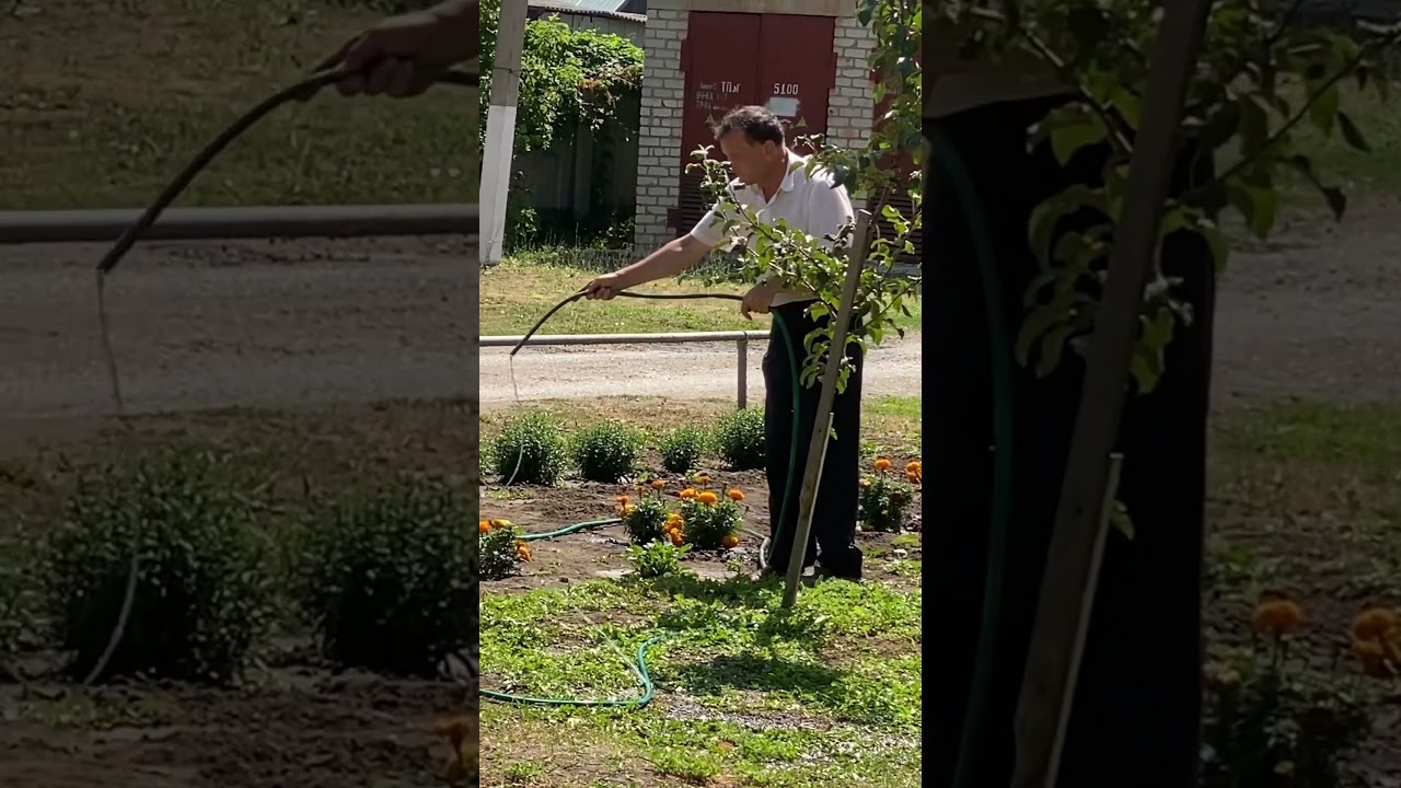 Александр Пушкин / ГАРДЕЙ И ИВАНЫЧ #рек #россия #топ #тренды #shortsvideo #рекомендации #shorts