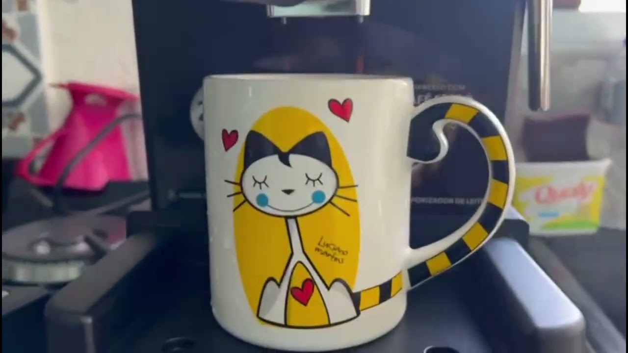 Comprimhas no Sam's|arrumei os arranhadores dos gatos 🐱| comprei a cafeteira que eu queria 🥰