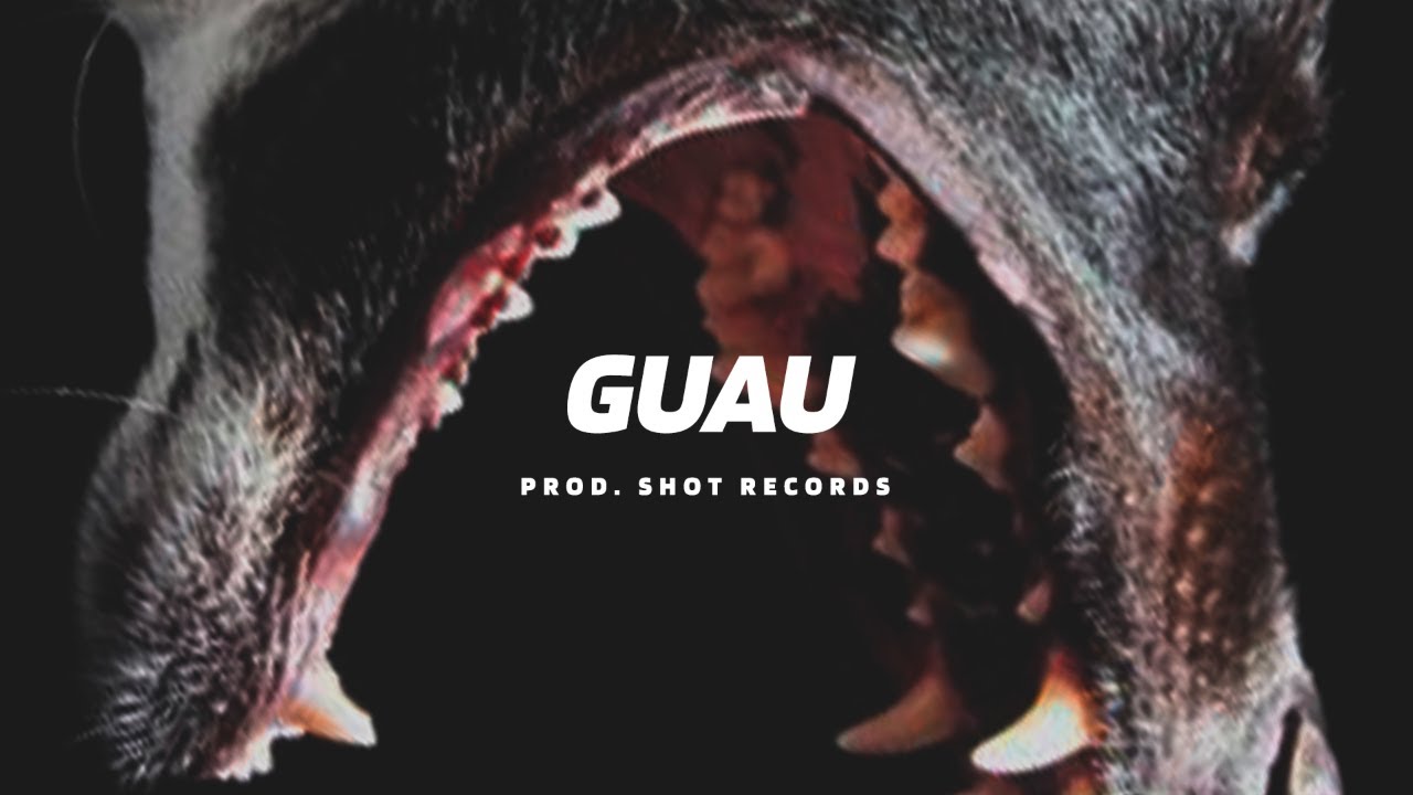 Guau - Moombahton Reggaeton Beat Instrumental | Prod. by Shot Records