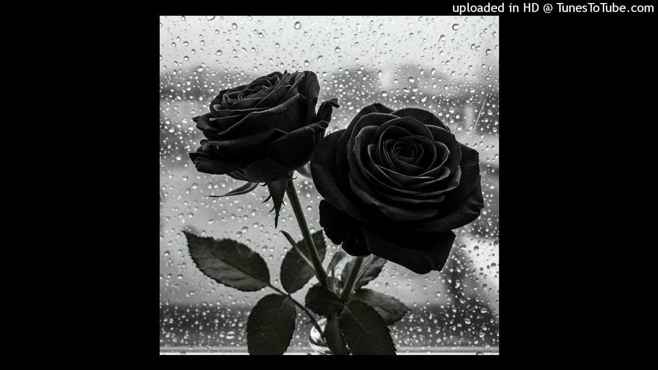 the two of us. alternative rock. nu metal. metalcore deftones type beat prod. 🖤𝕸𝕬𝕿_