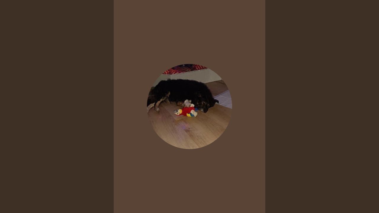 StaceyWhoofsVariety is live