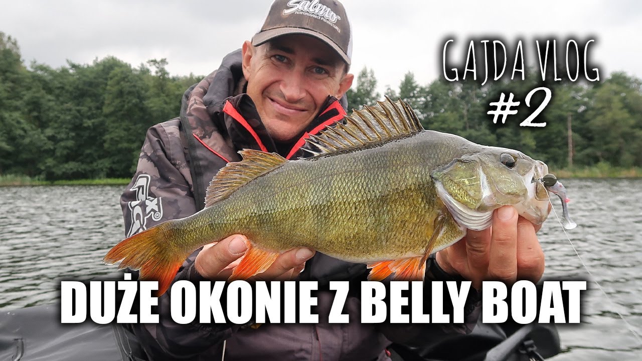 GAJDA VLOG #2 | DUŻE OKONIE Z BELLY BOAT | MARCIN GAJDAMOWICZ