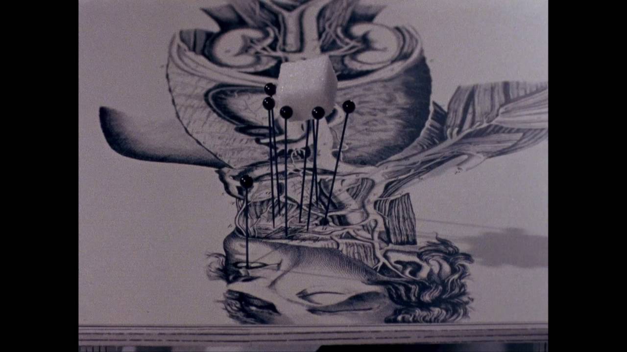 Cabinet of Jan Svankmajer – Quay Brothers