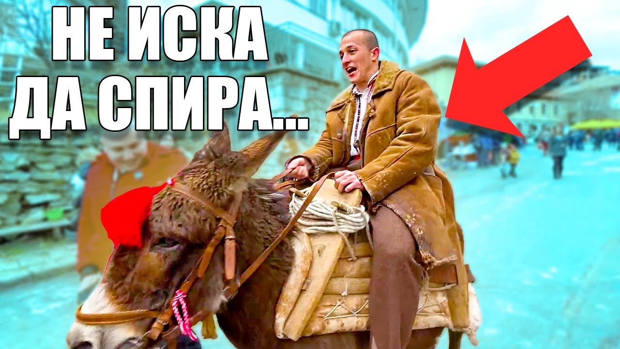 ЗА МАЛКО ДА СЕ ПРЕБИЯ ОТ МАГАРЕТО