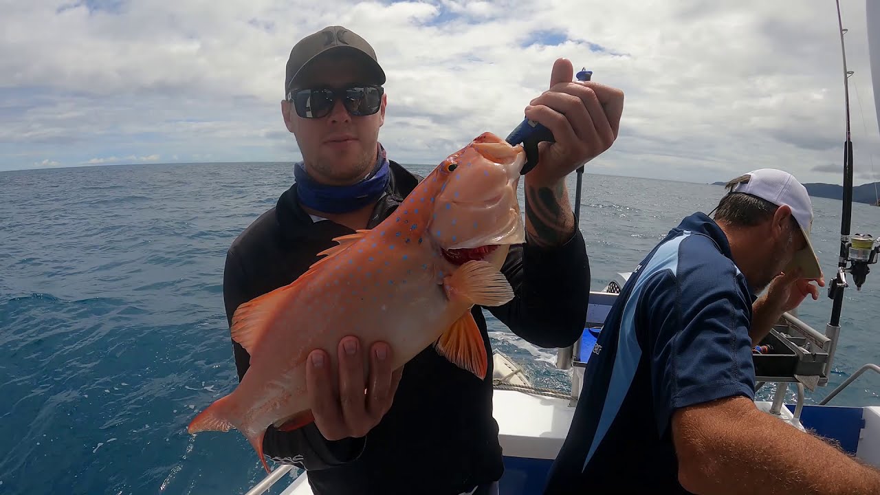 Sea & Land Adventures - Episode 17 - Whitsundays Fishing Charters - Airlie Beach