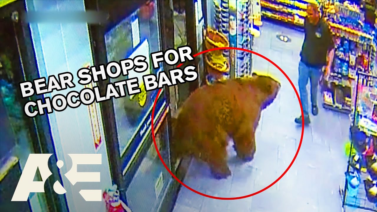 CAUGHT ON CAMERA: Top 10 Unexpected Heroes in Action - Part 2 | Customer Wars | A&E