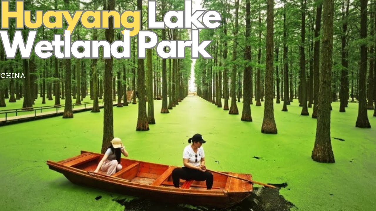 Exploring Huayang Lake Wetland Park: A Hidden Gem in China