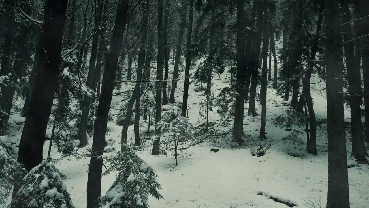 Borgar -  Hrimthursen