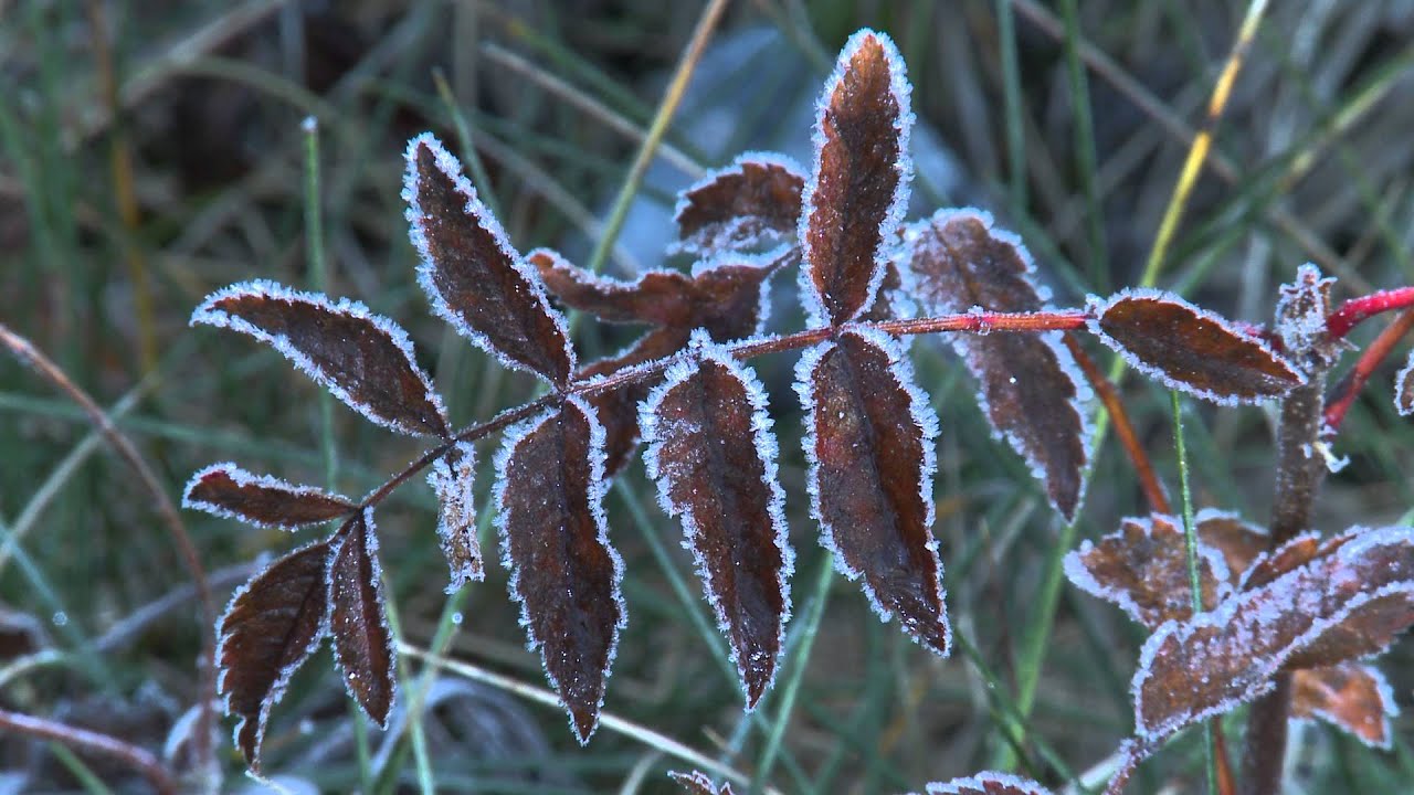 Hrvatsko vodeno blago / Croatia's water treasure: NP Sjeverni Velebit TRAILER