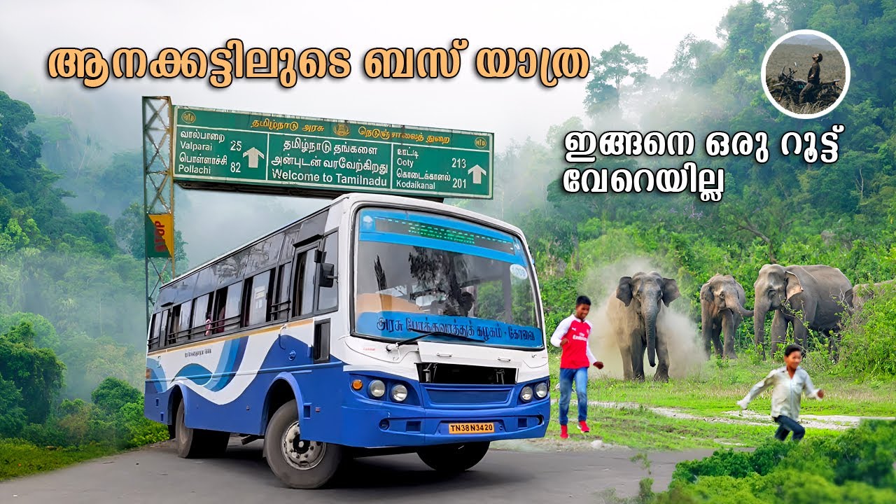 ഇങ്ങനെ ഒരു റൂട്ട് വേറെയില്ല | Malakkapara | Valparai | Ksrtc bus trip | Athirapally | free20